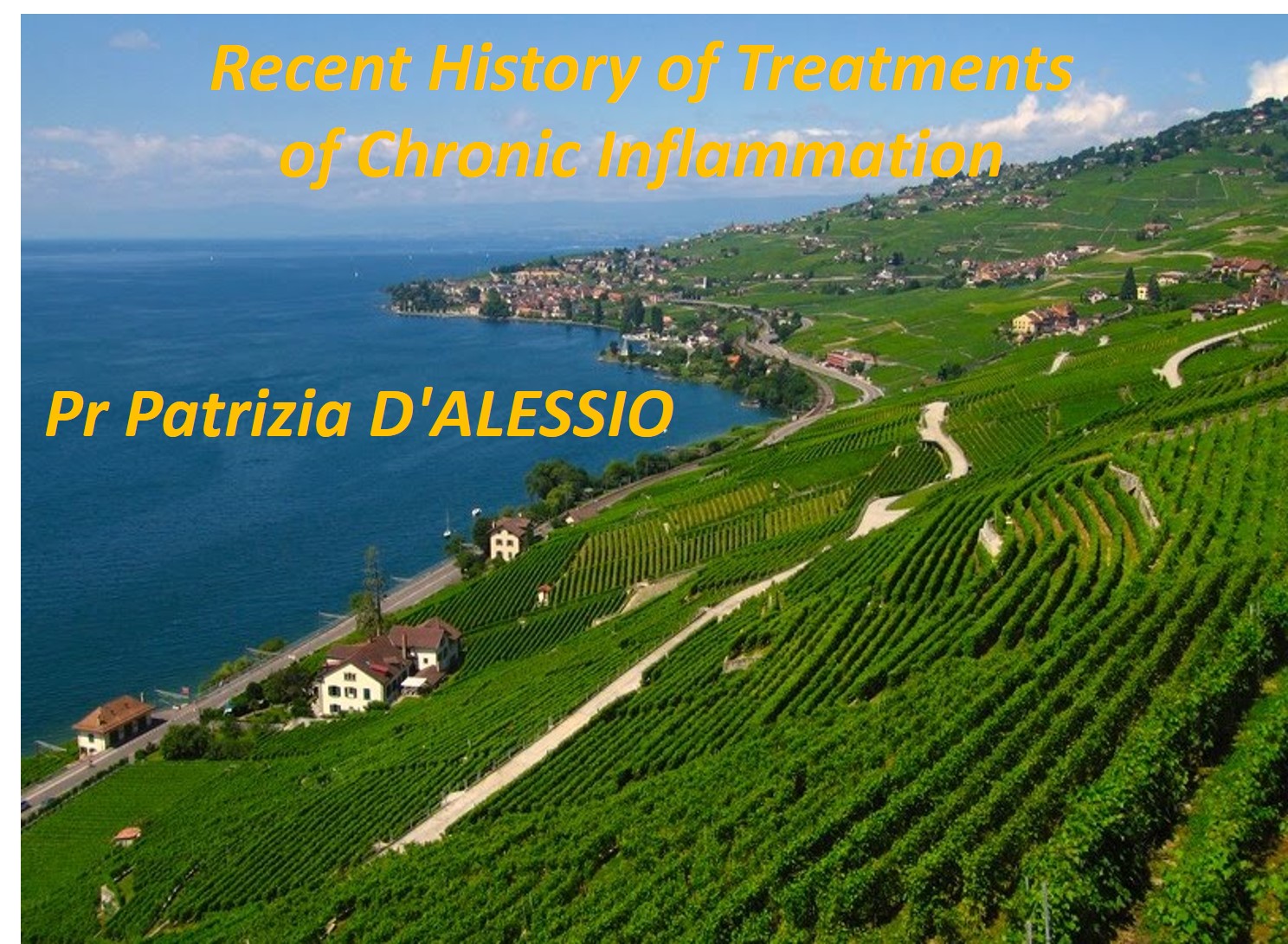Recent history of Treatments of Chronic Inflammation   -   Pr Patrizia D'ALESSIO