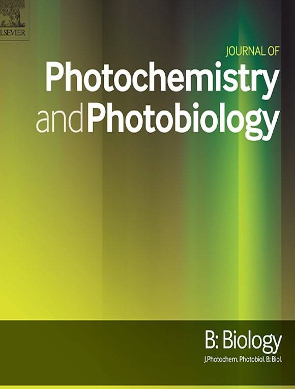 Journal of Photochemistry