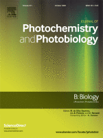 Publication dans Journal of Photochemistry